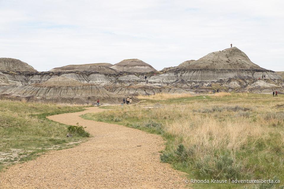 Horseshoe Canyon Drumheller Hiking Horseshoe Canyon Trail