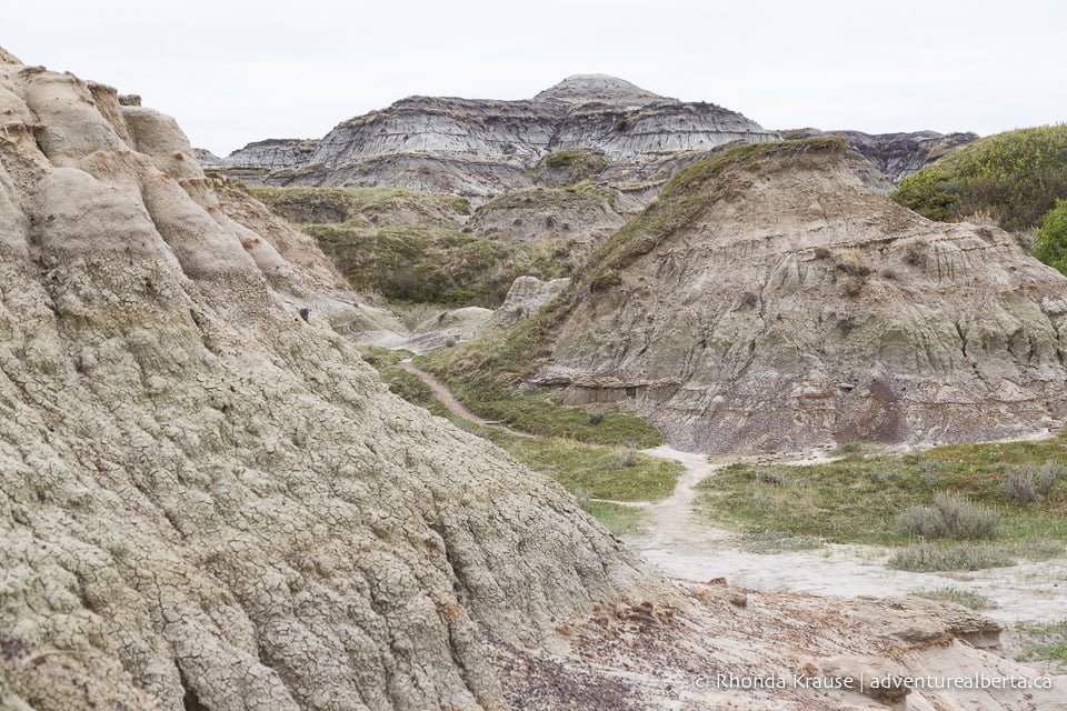 Horseshoe Canyon Drumheller Hiking Horseshoe Canyon Trail
