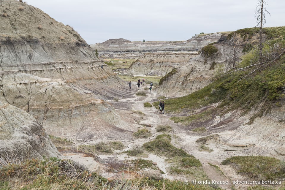 Horseshoe Canyon Drumheller Hiking Horseshoe Canyon Trail