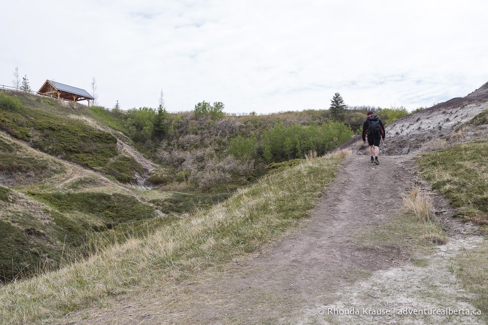 Horseshoe Canyon Drumheller Hiking Horseshoe Canyon Trail