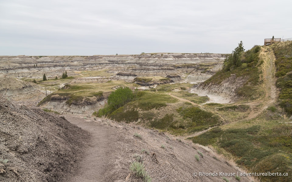 Horseshoe Canyon Drumheller Hiking Horseshoe Canyon Trail