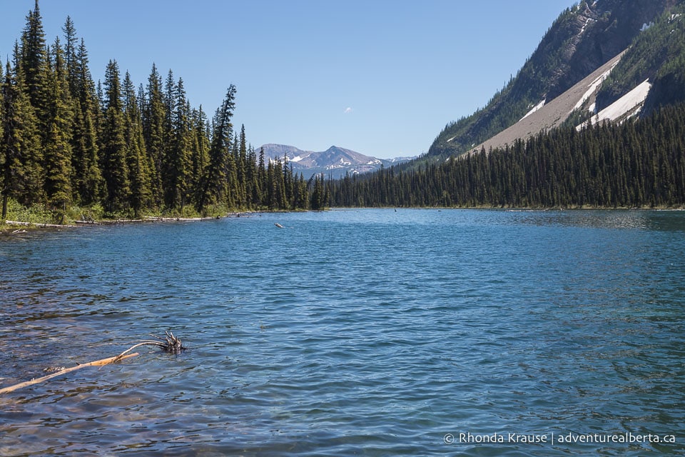 Boom Lake Hike Guide to Hiking Boom Lake Trail in Banff National Park