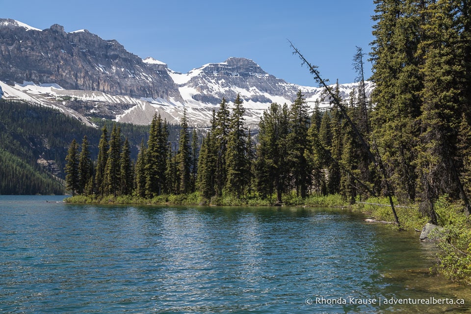 Boom Lake Hike Guide to Hiking Boom Lake Trail in Banff National Park