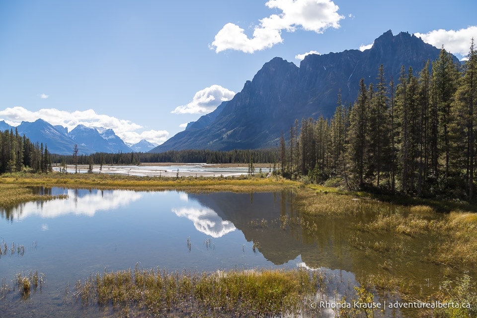 Big Bend Hike Guide to Hiking Chaba Trail to Big Bend in Jasper