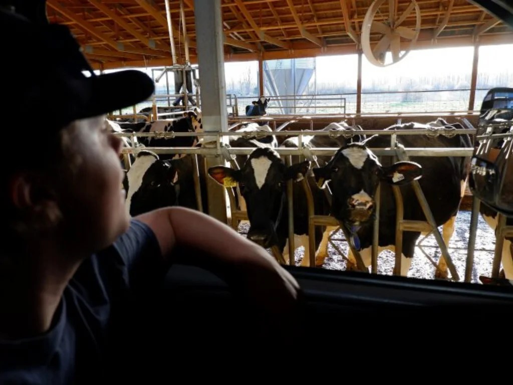 Langley Farm Tour Family Travel Blog Adventure Awaits