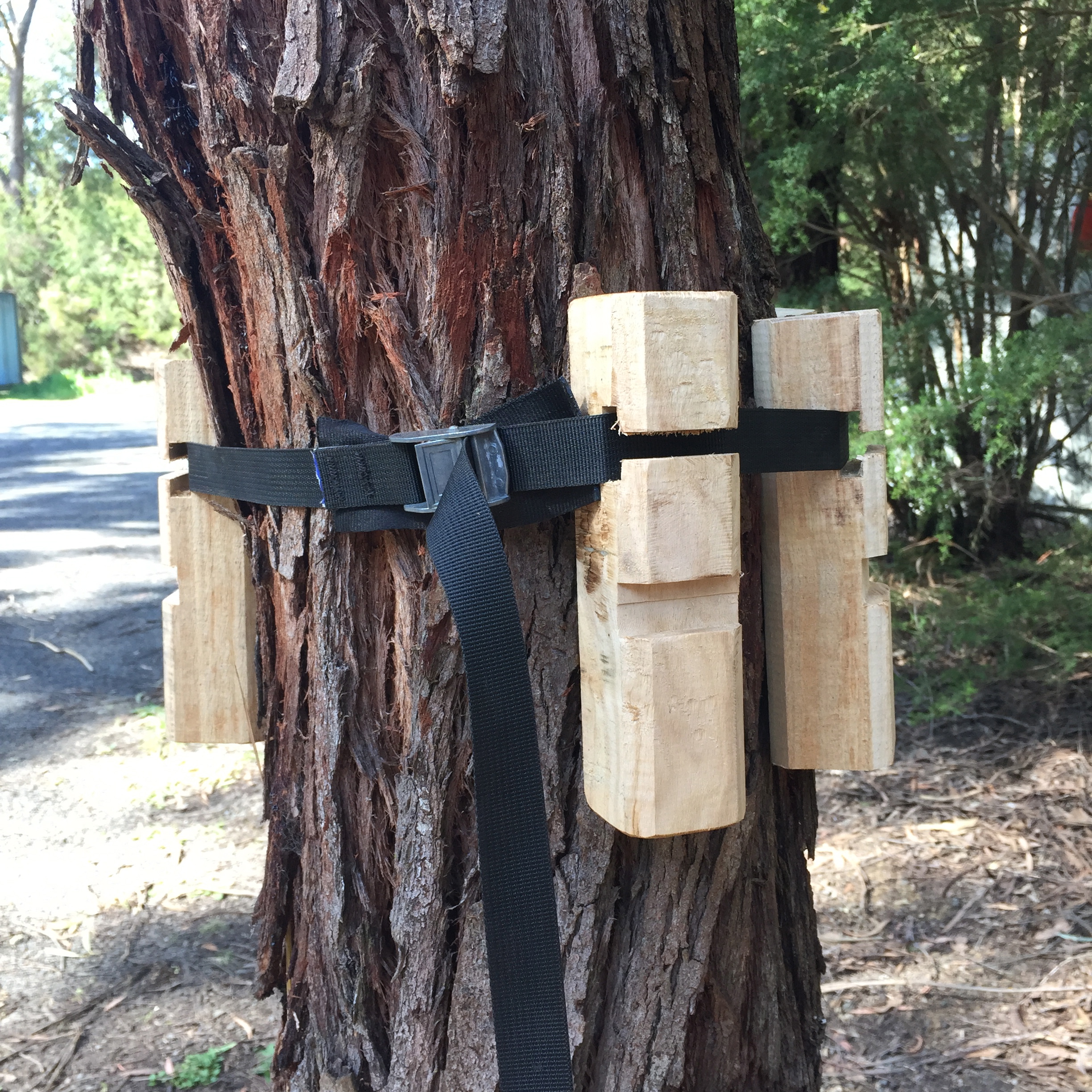 TREE HUGGERS Tree protectors Adventure Developments