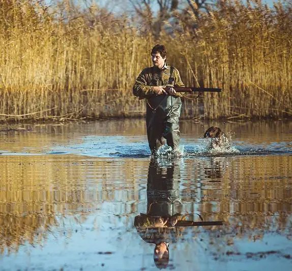 How To Pick Shot Size For Ducks And Geese - Adventure Footstep