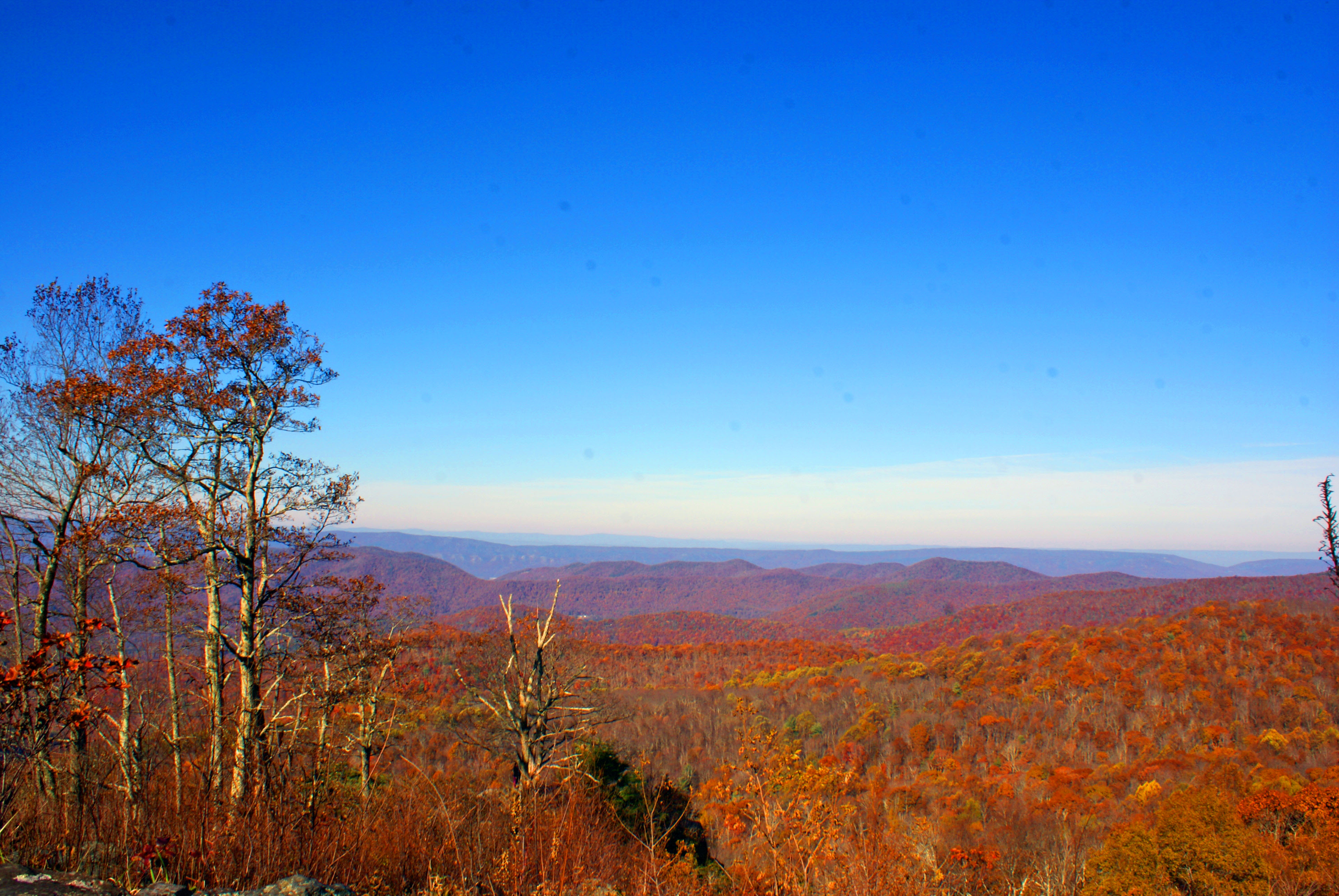 shenandoah fall foliage peak 2023 Shenandoah National Park Fall Foliage and the car seat shuffle