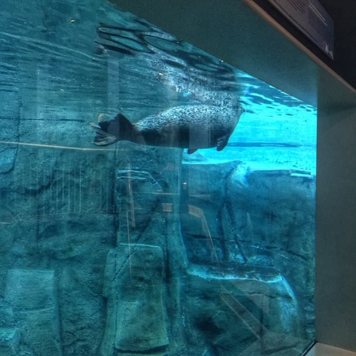 A Behind the Scenes Tour of the Toledo Zoo Adventure Mom