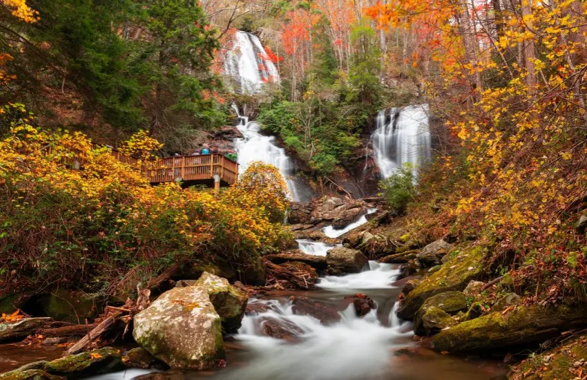 Anna Ruby Falls Trail What You Need to Know
