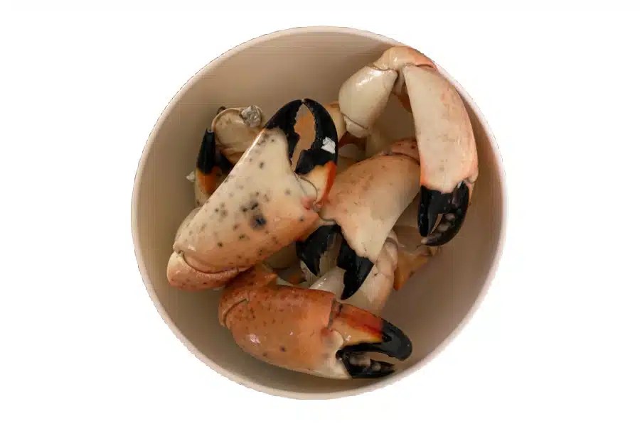 Everglades City Restaurants Quick places to eat after your tour