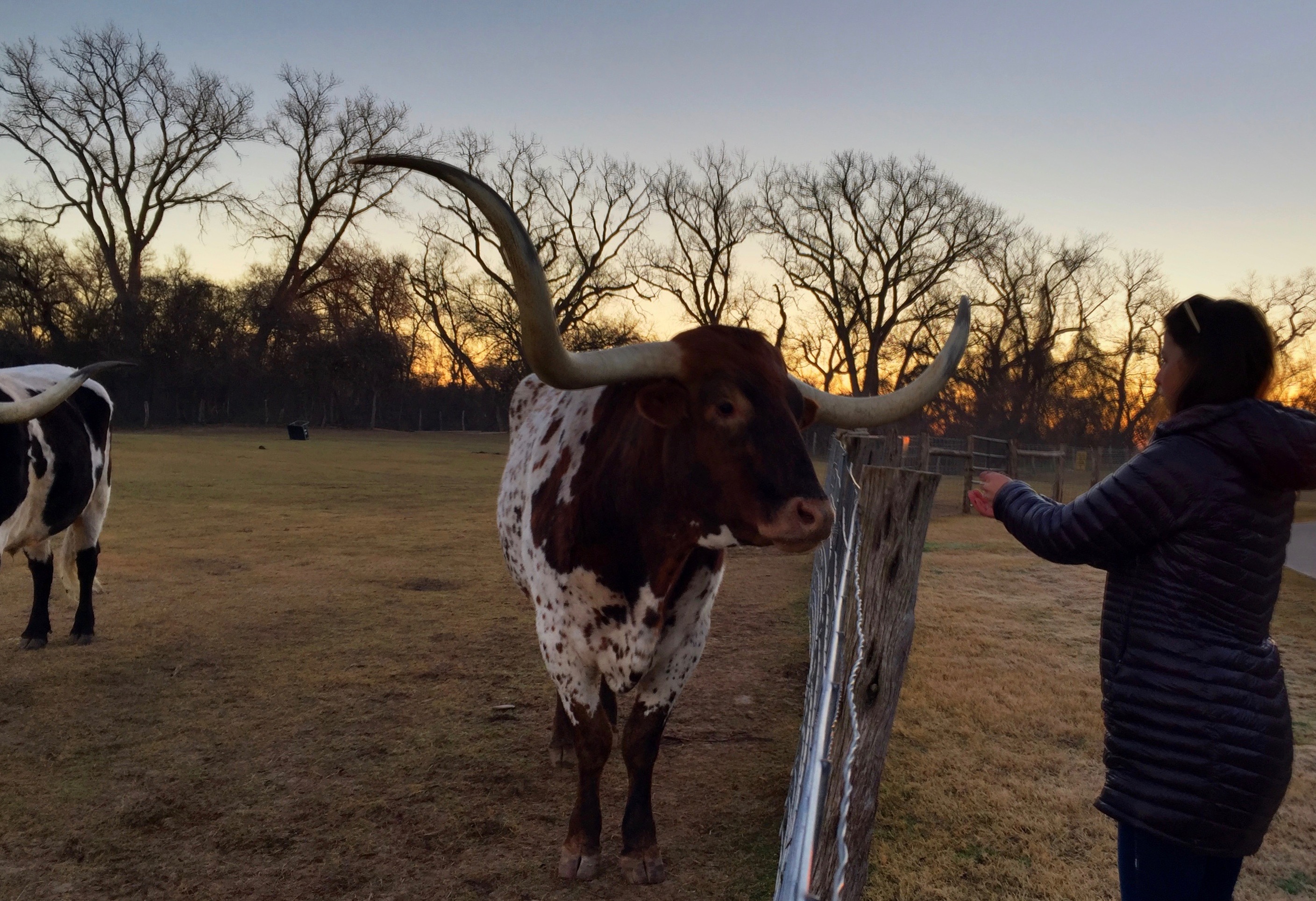 26th Annual International ACCT Conference & Exposition Adventure Park