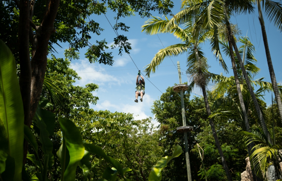 Treetop Trekking Debuts New Miami Zip Line Park Adventure Park Insider
