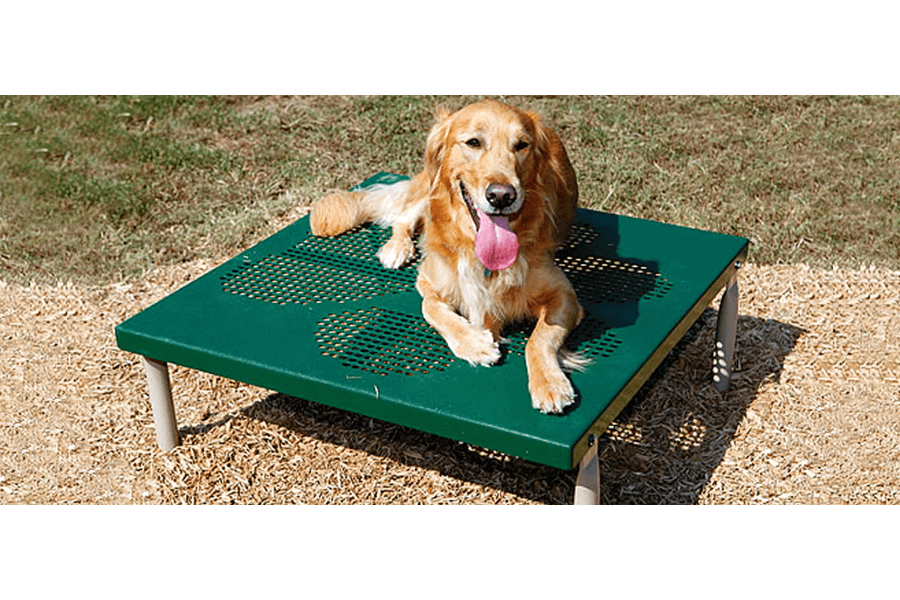 Paws Grooming Table - Adventure Playground