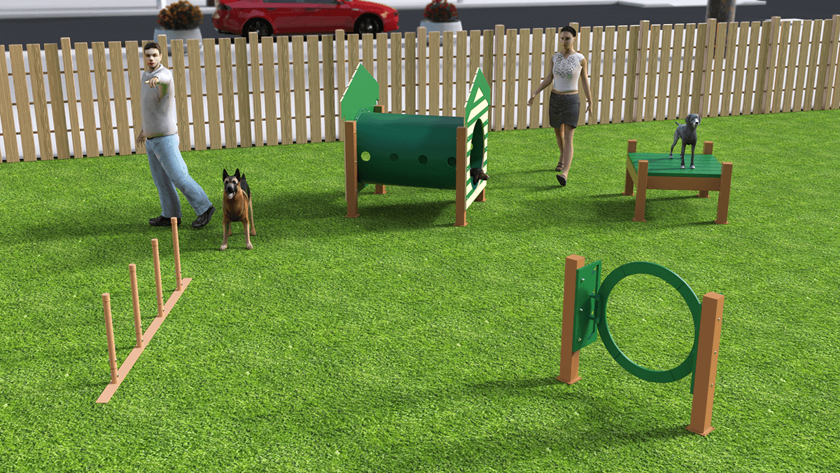 Recycled Small Dog Agility Course Adventure Playground