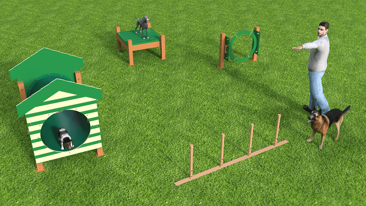 Recycled Small Dog Agility Course Adventure Playground