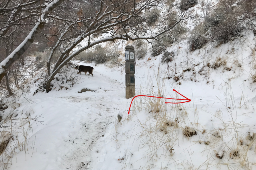 Bonneville Shoreline Trail Christmas Tree Hike Adventures After Kids