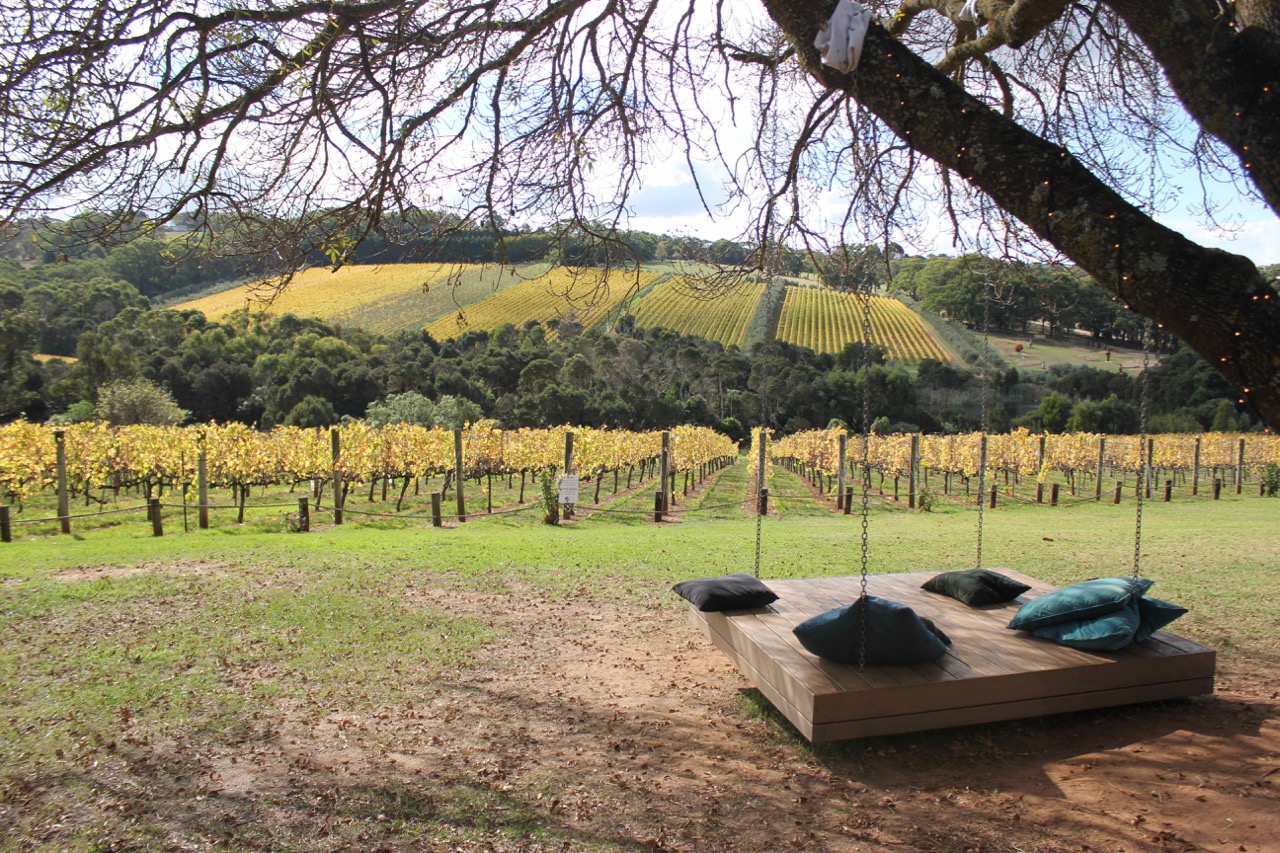 Five Best Wineries on Mornington Peninsula and Where to Eat Afterwards
