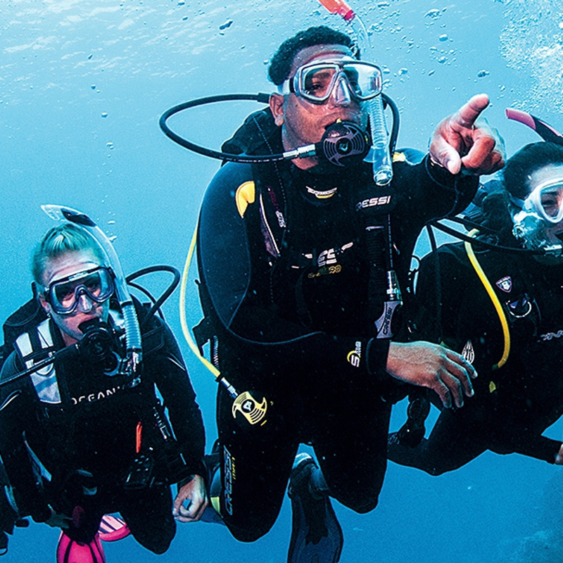 Curso de Dive Master Adventure Shop