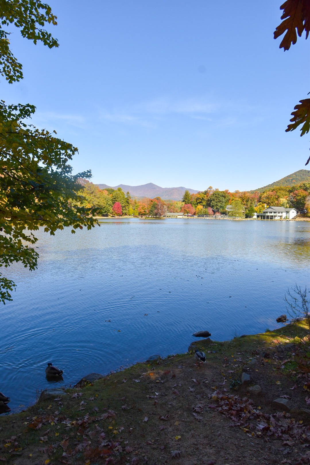 BLACK MOUNTAIN, NC BEST LITTLE BEER TOWN Adventures in Atlanta
