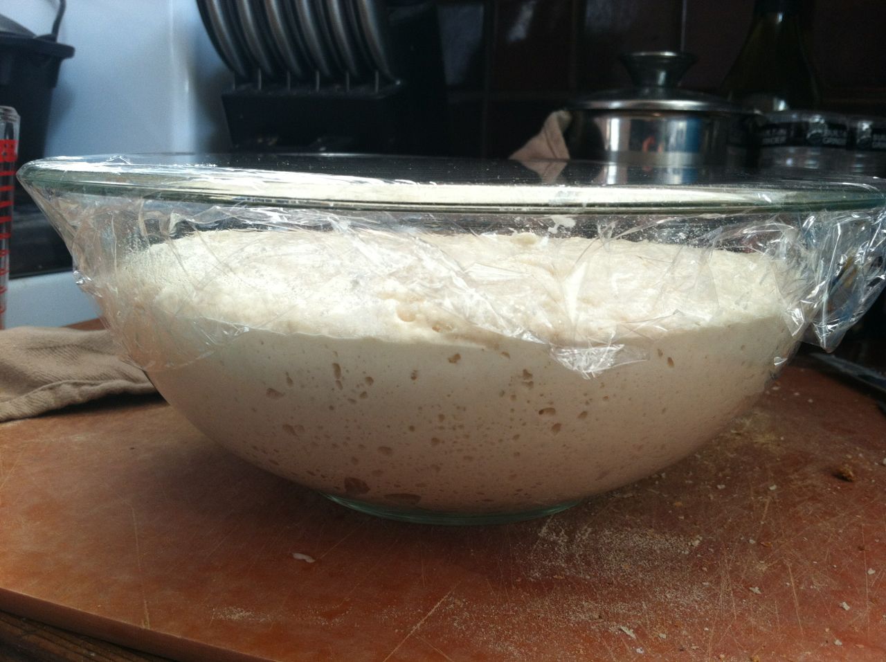 The “No Knead Bread Method” Adventures in Bread (and other kitchen