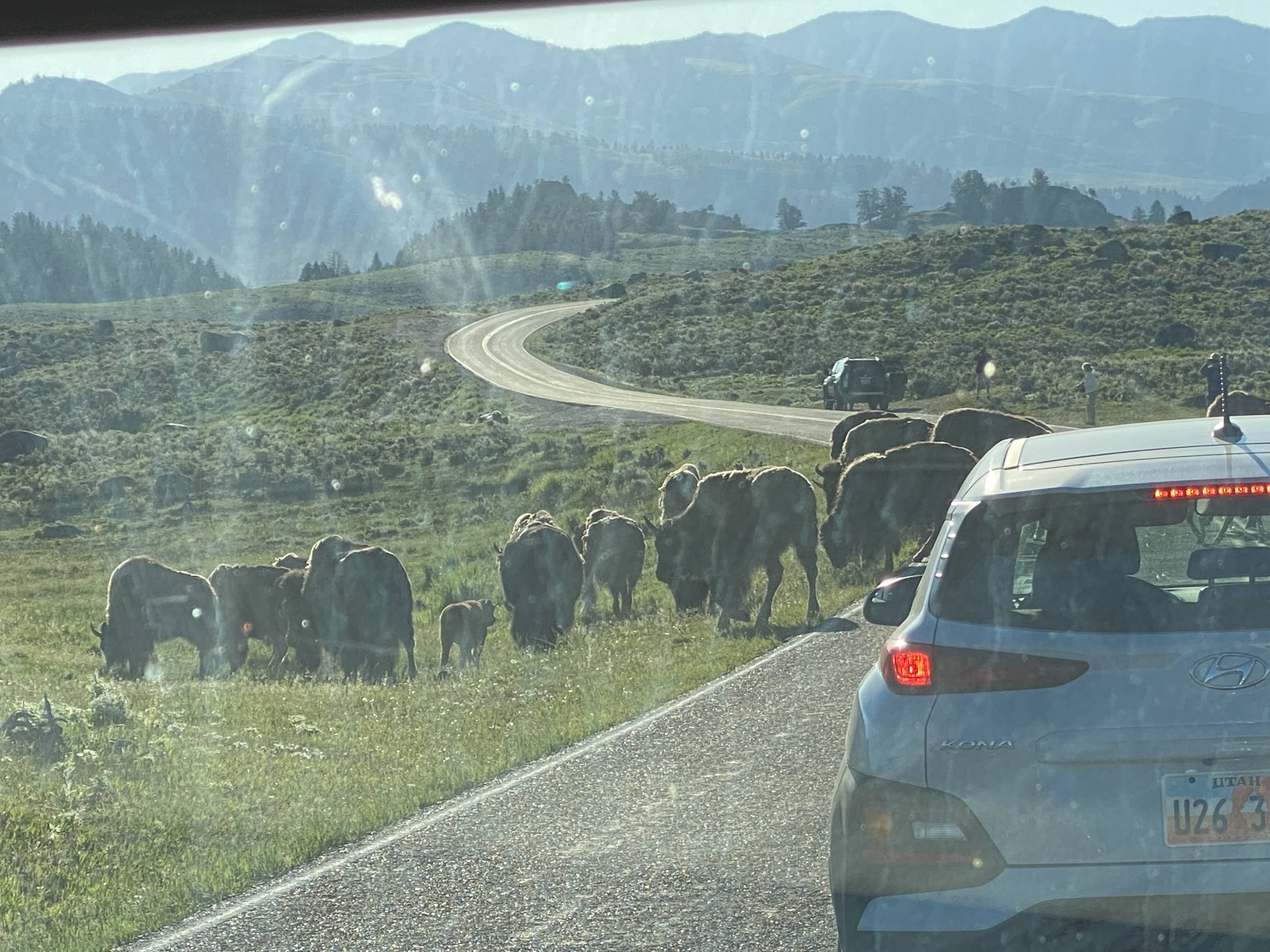 20210618 Springtime in the Rockies caravan… Day 23 Yellowstone