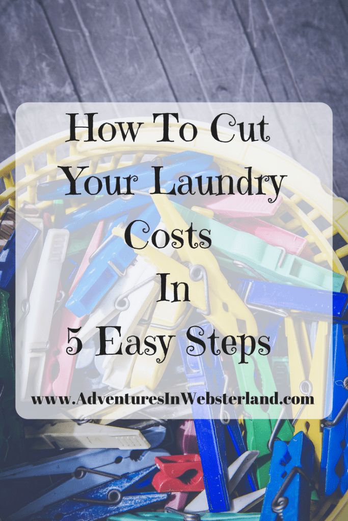 How To Cut Your Laundry Costs In 5 Easy Steps Adventures In sterland