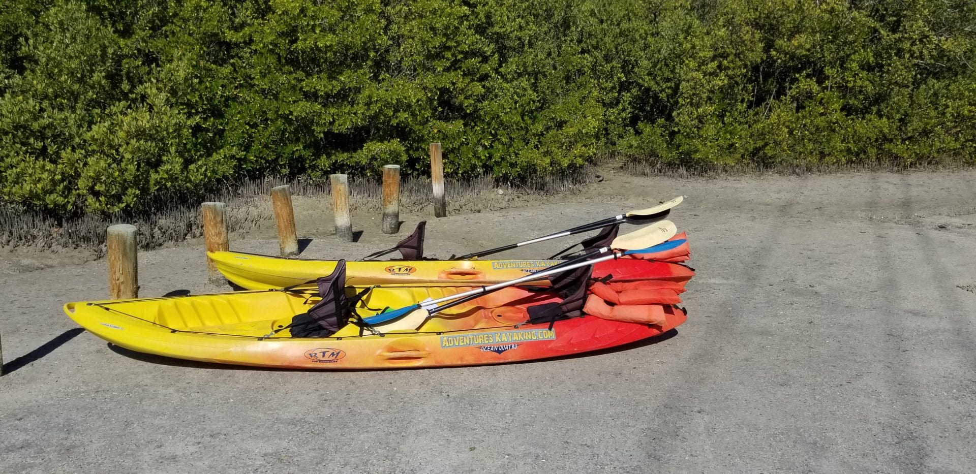 Adventures Kayaking Photo Gallery Kayak Rentals Bonita Springs