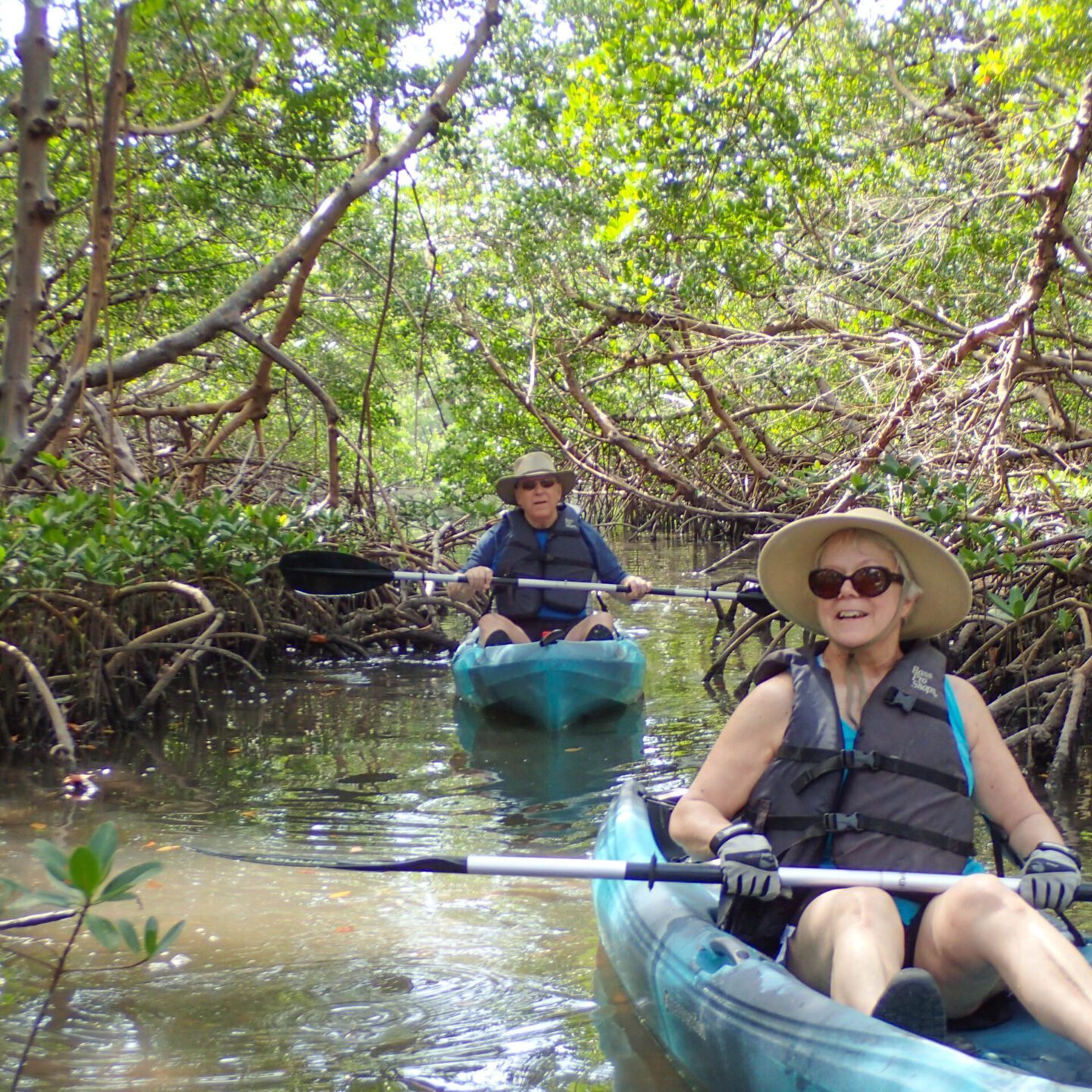 Kayak Rental And Guided Tour Services In Florida Kayak Rentals