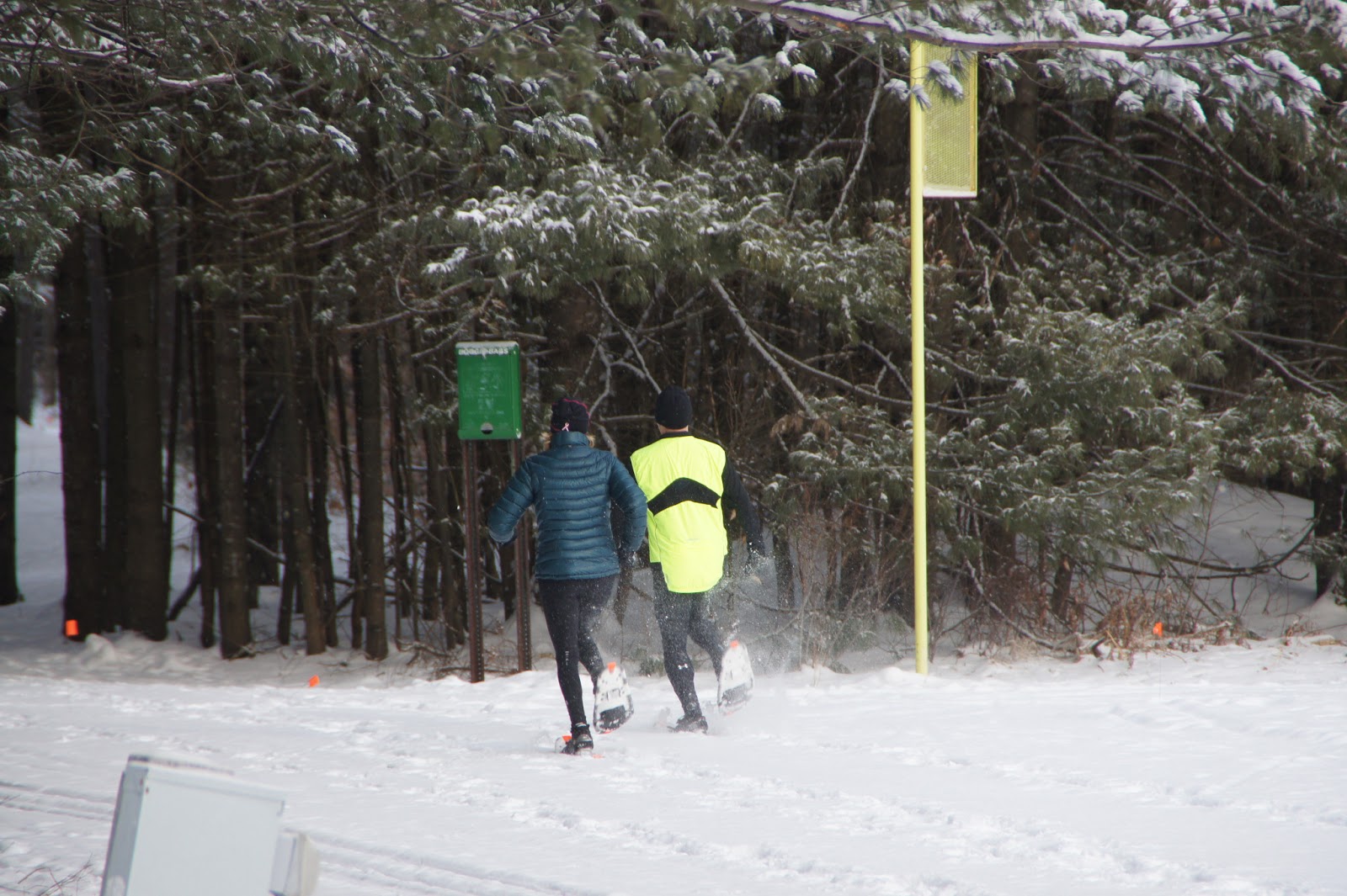 Race Report Whitaker Woods Snowshoe Scramble Adventure Sneaker