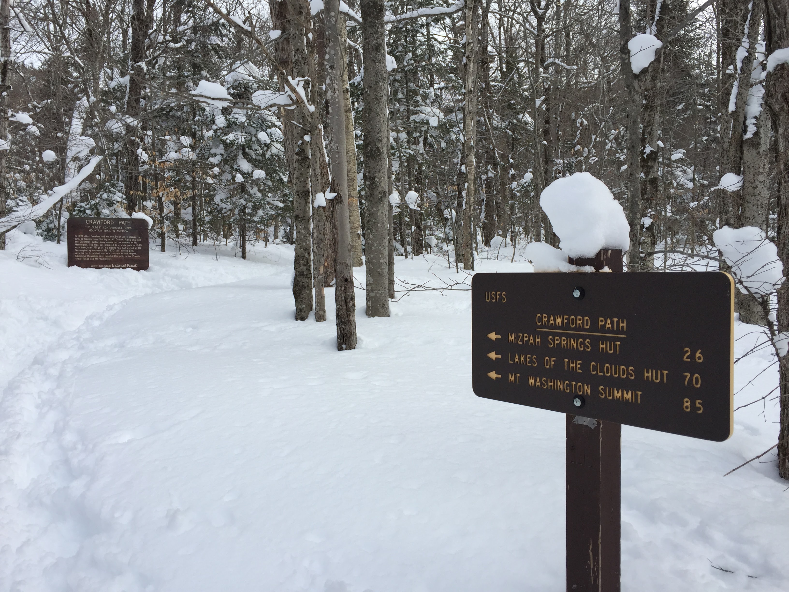 Mount Pierce Hike New Hampshire 4000 Footers Adventure Sneaker