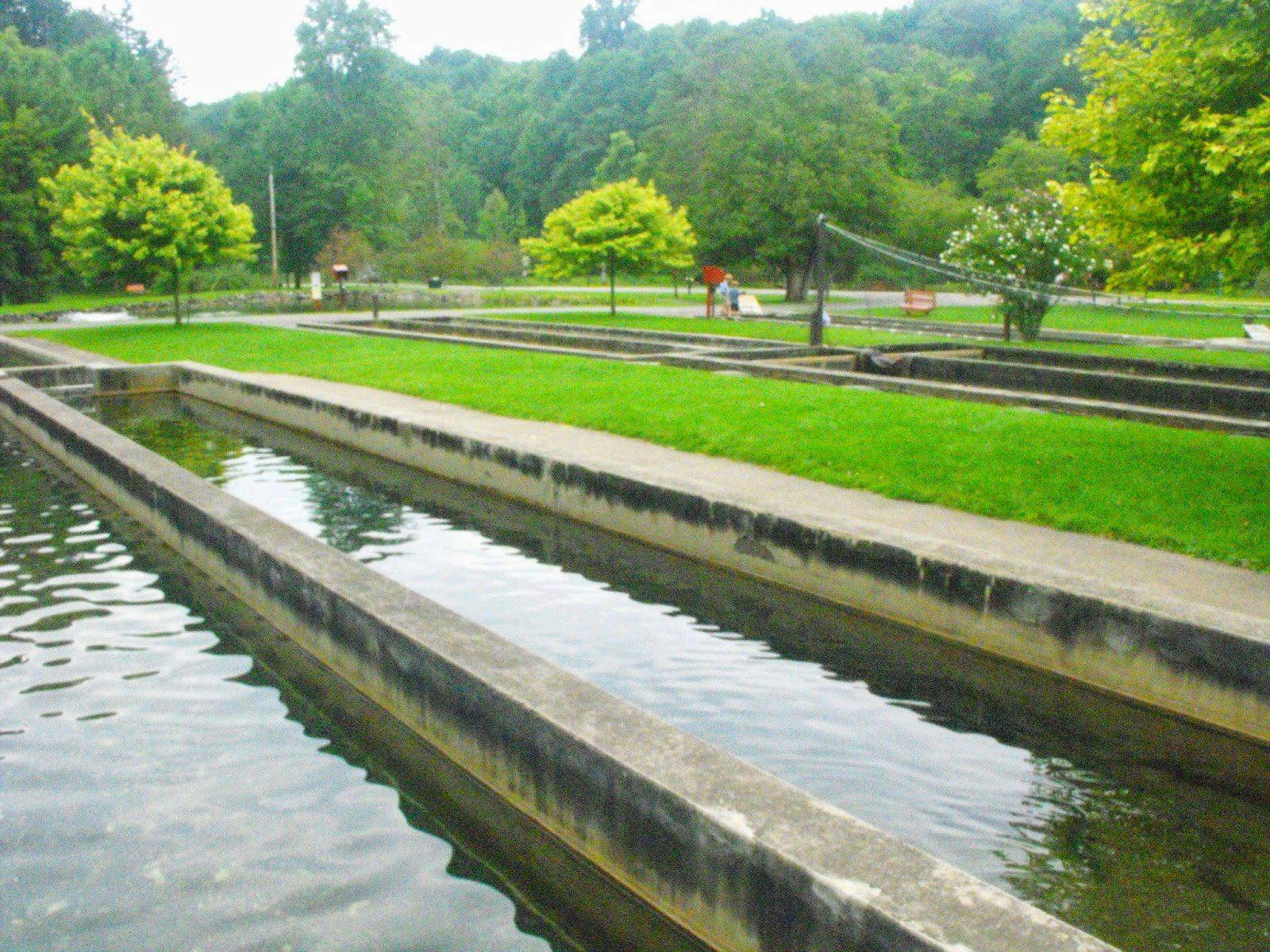Powder Mill Park Fish Hatchery Victor, NY Adventures in New York