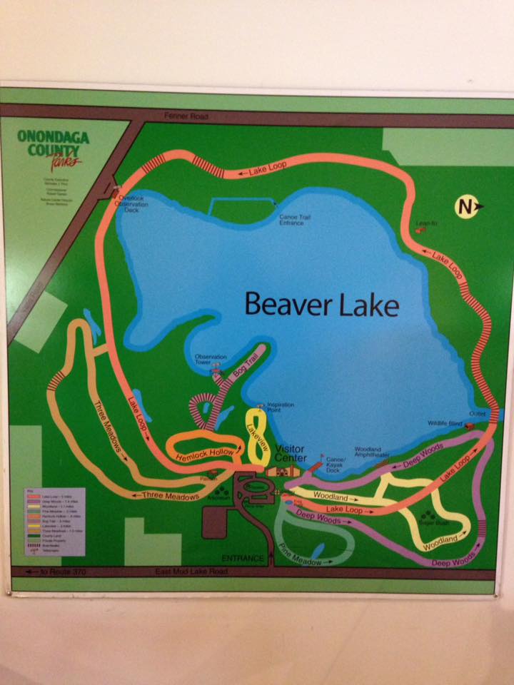 Beaver Lake Nature Center Baldwinsville, NY Adventures in New York