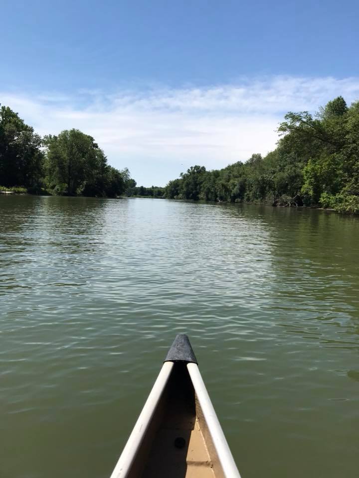 Montezuma National Wildlife Refuge Seneca Falls, NY Adventures in
