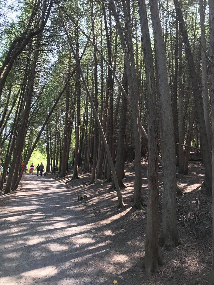 Green Lake State Park Manlius, New York Adventures in New York