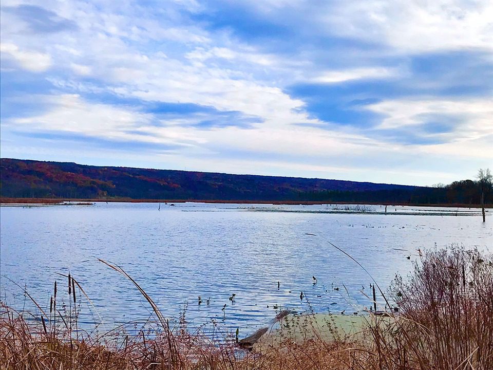 Conesus Lake Inlet Wildlife Management Area Adventures in New York