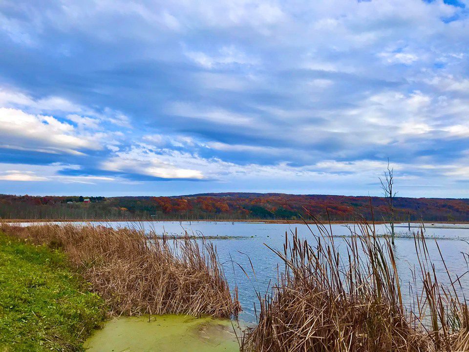 Conesus Lake Inlet Wildlife Management Area Adventures in New York