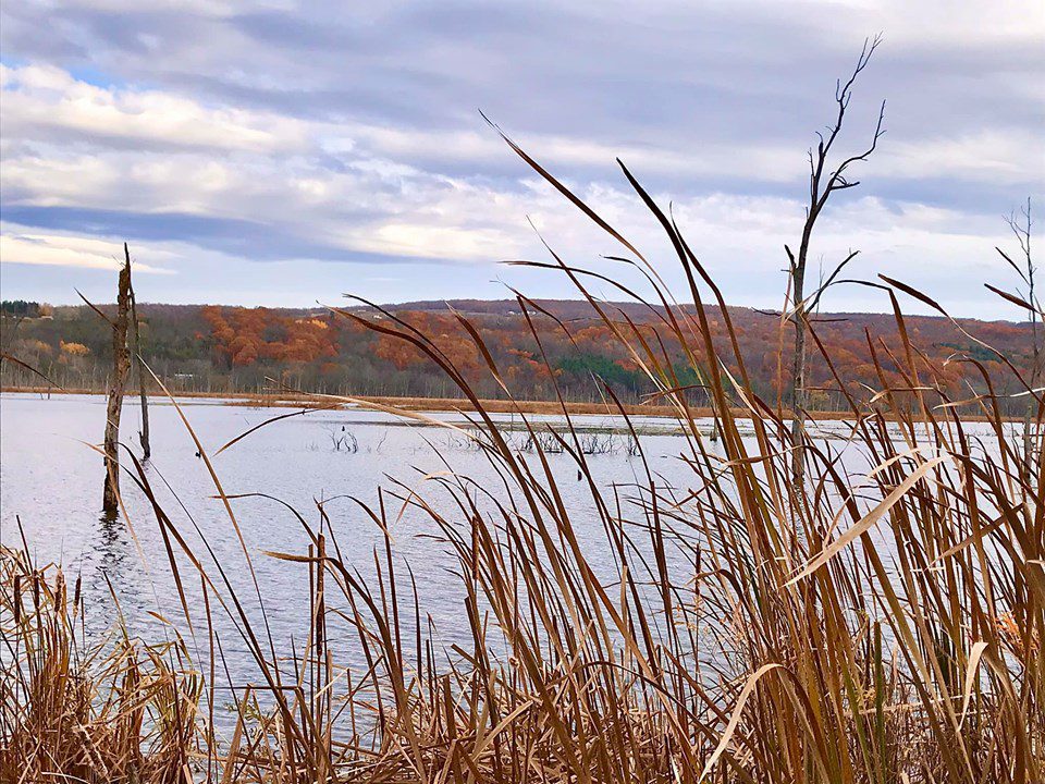 Conesus Lake Inlet Wildlife Management Area Adventures in New York
