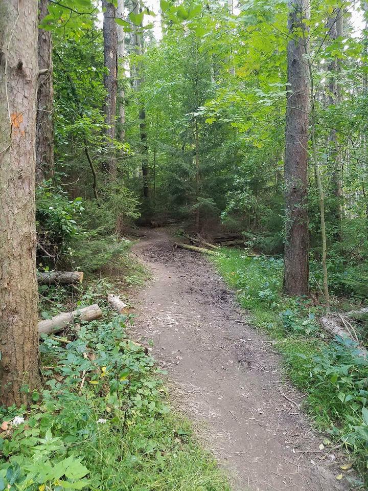 ster Park and Pier ster, NY Adventures in New York