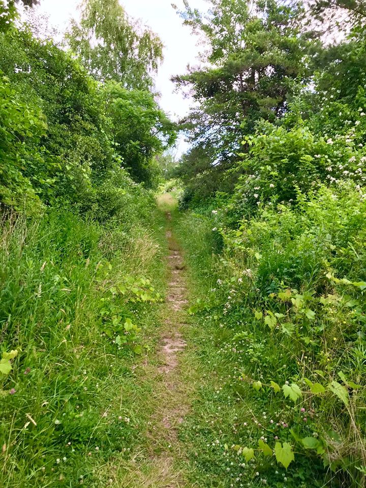 Cornwall Preserve Pultneyville, NY Adventures in New York