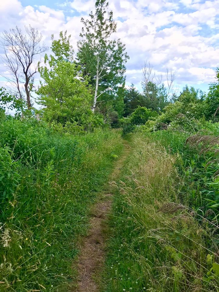 Cornwall Preserve Pultneyville, NY Adventures in New York