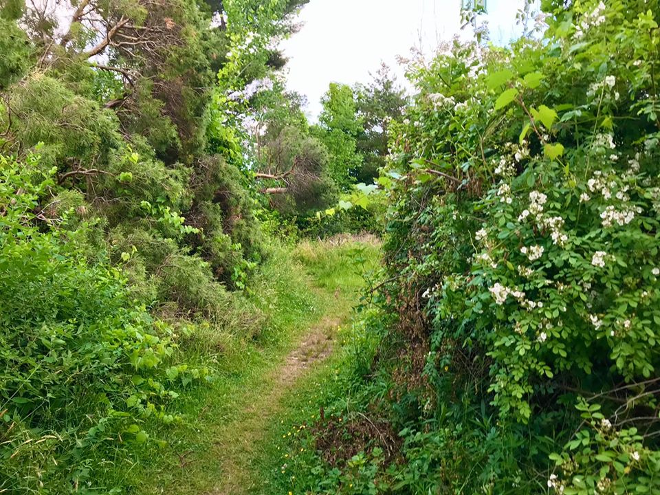 Cornwall Preserve Pultneyville, NY Adventures in New York