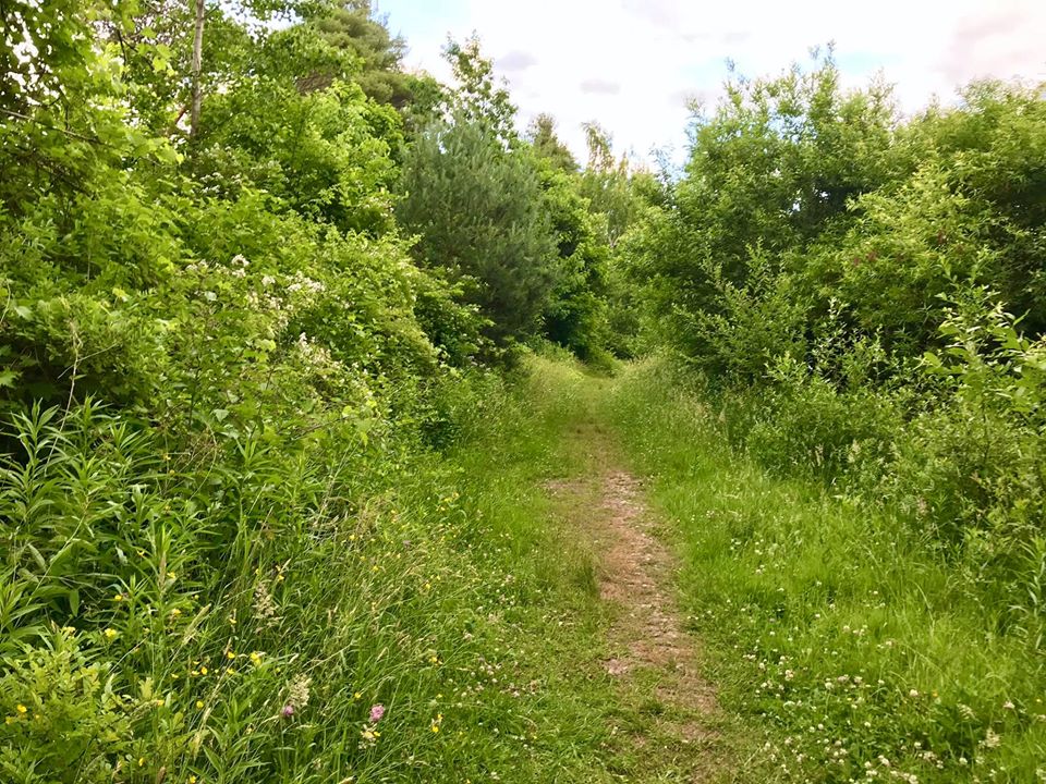 Cornwall Preserve Pultneyville, NY Adventures in New York