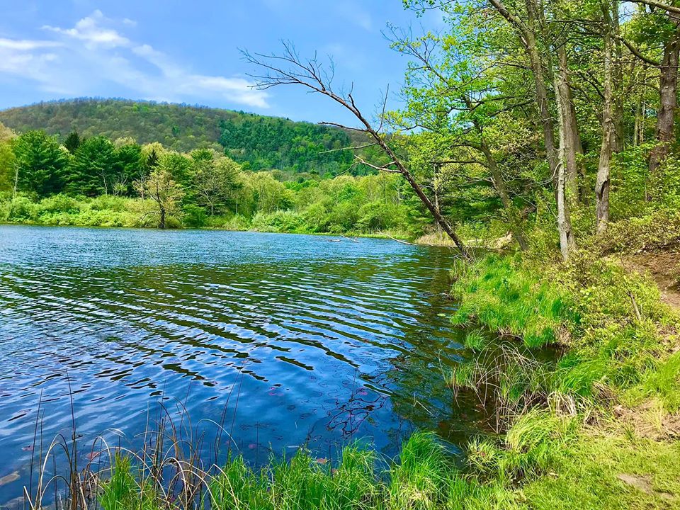 Sanford Lake Bath, NY Adventures in New York