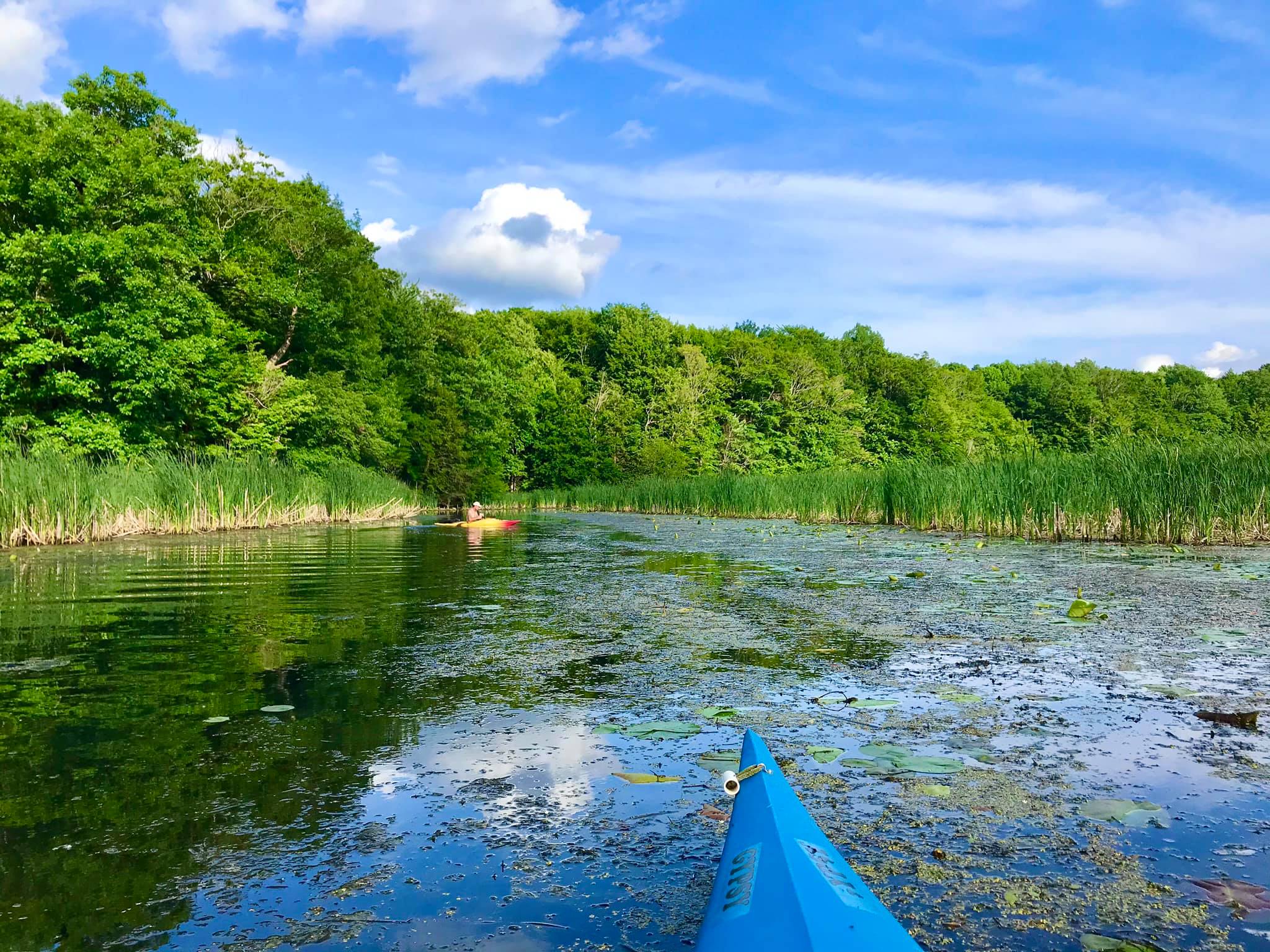 Bentley Bond’s Trail North Rose, NY Adventures in New York