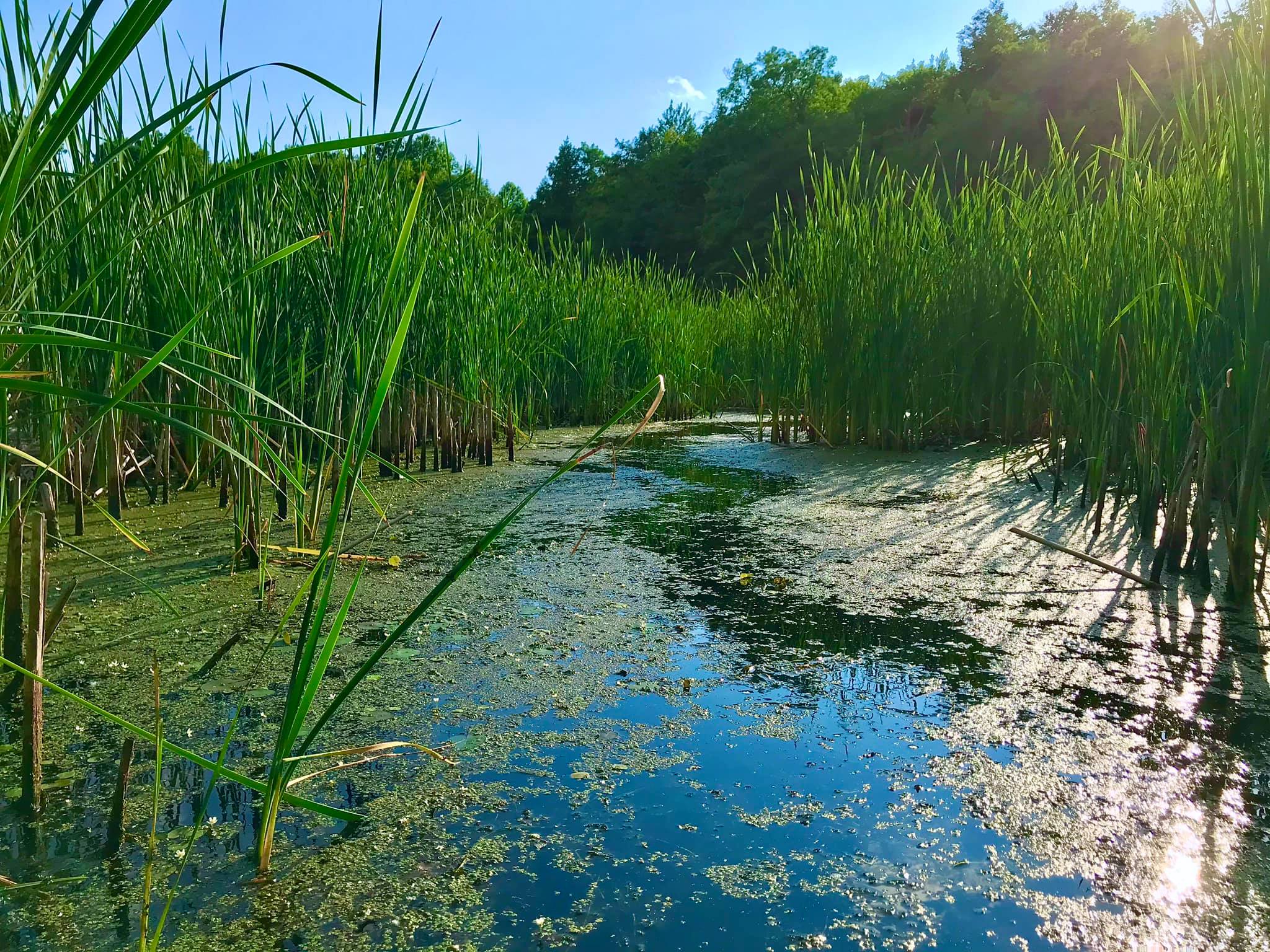 Bentley Bond’s Trail North Rose, NY Adventures in New York