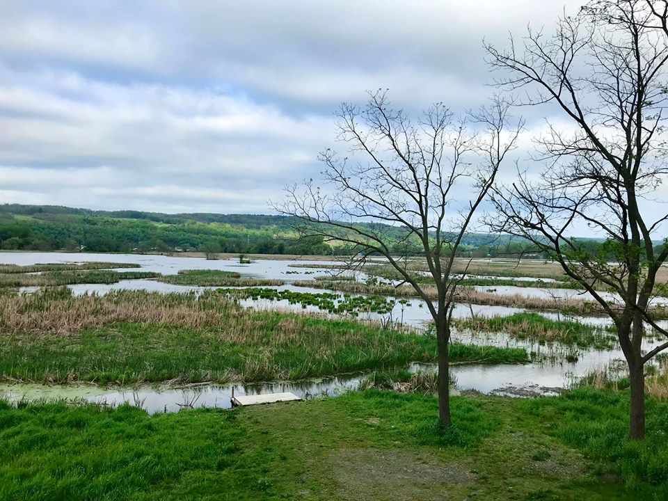 Catherine Creek Wildlife Management Area Watkins Glen, NY