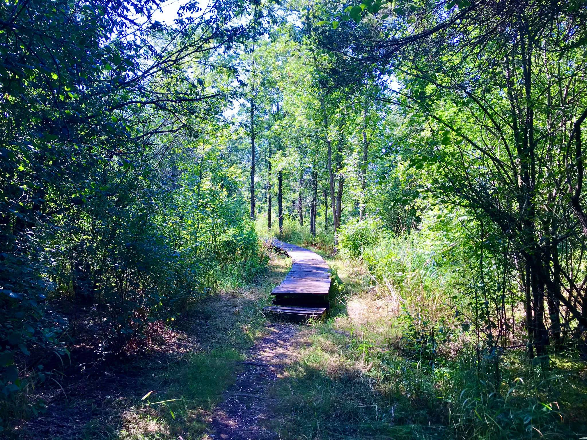 El Dorado Beach Preserve Ellisburg, NY Adventures in New York