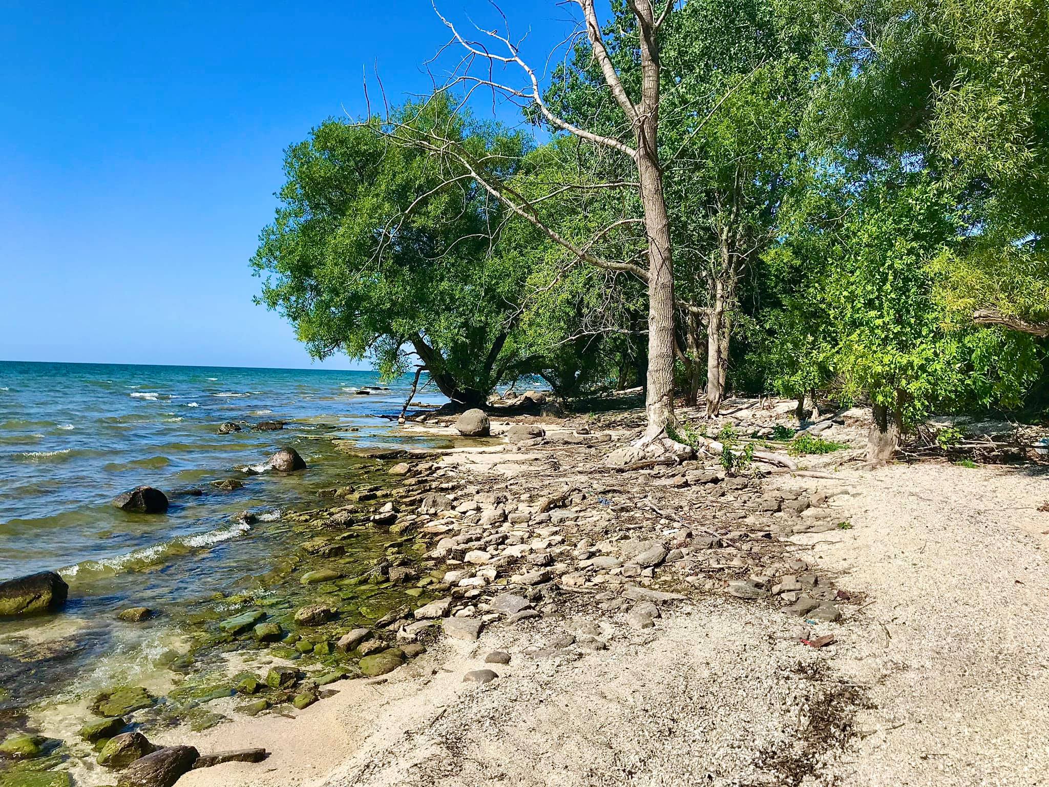 El Dorado Beach Preserve Ellisburg, NY Adventures in New York