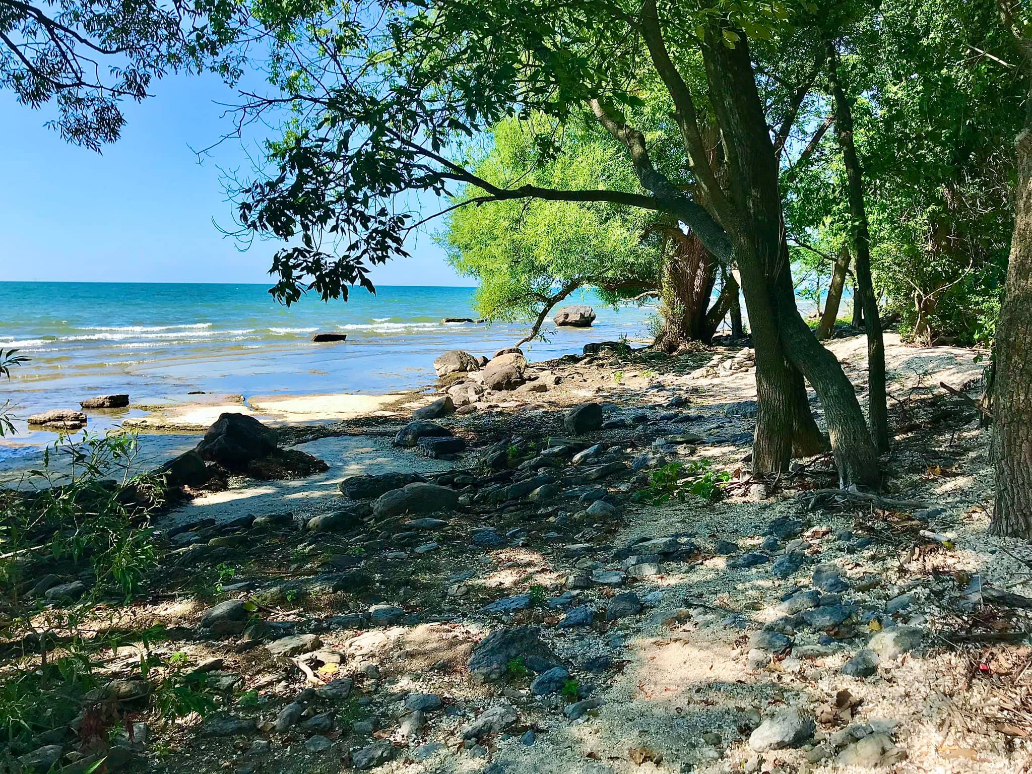 El Dorado Beach Preserve Ellisburg, NY Adventures in New York